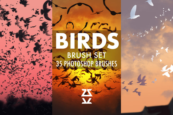 Birds Brush Set