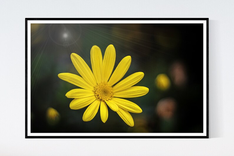 Yellow Dandelion Digital Download