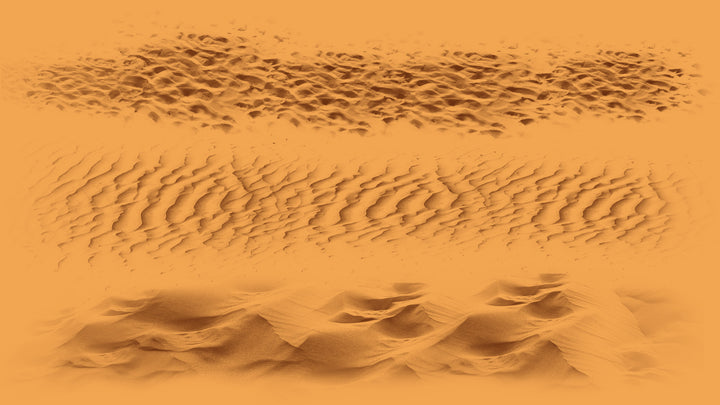 Desert Brush Set