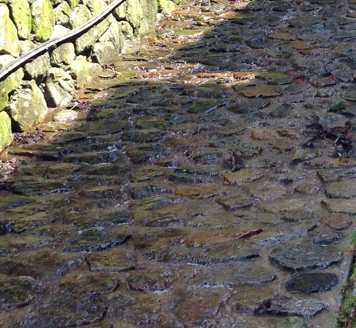 Streams in Kyoto (Ohara)