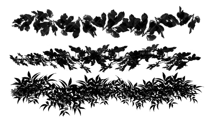 Foliage 2 Brush Set