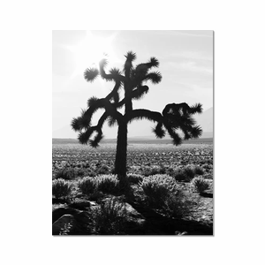 U2 Joshua Tree