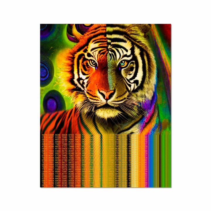 enlightened omnipresence: the tiger code