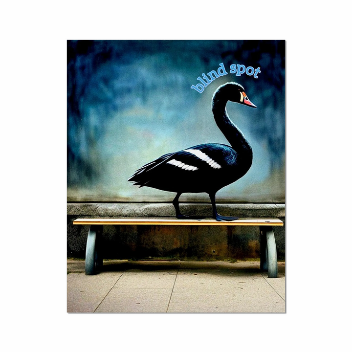 black swan on a park bench