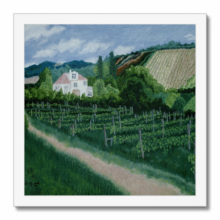 Vienna Vineyard