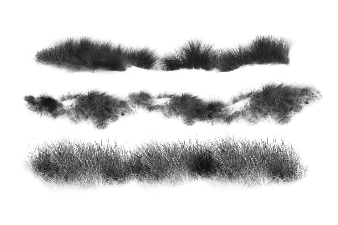 Marram Grass Brush Set