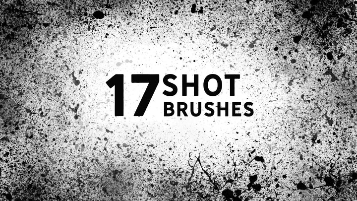 17 Shot Brush Set