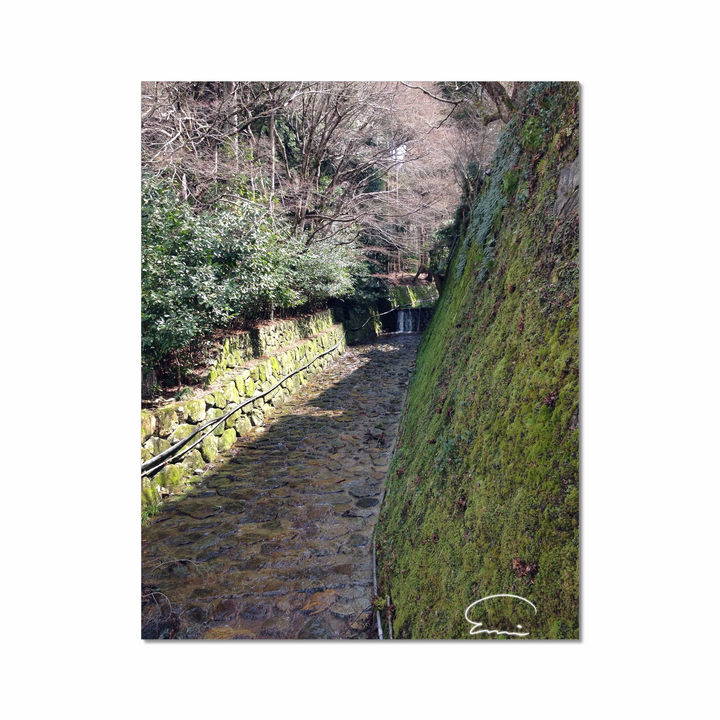 Streams in Kyoto (Ohara)