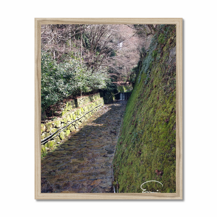 Streams in Kyoto (Ohara)