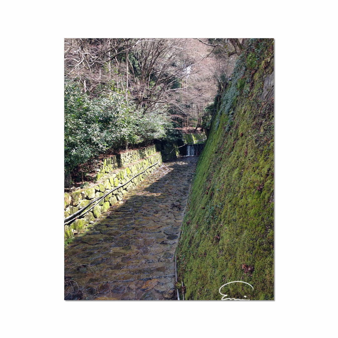 Streams in Kyoto (Ohara)