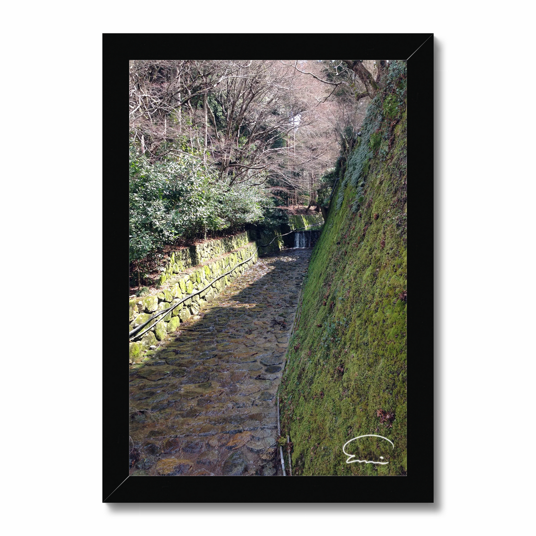 Streams in Kyoto (Ohara)