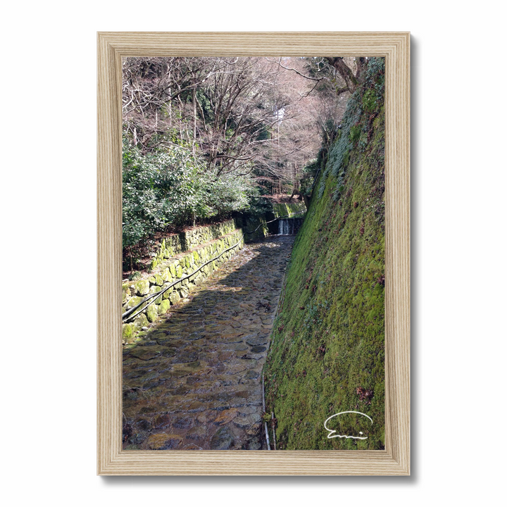 Streams in Kyoto (Ohara)