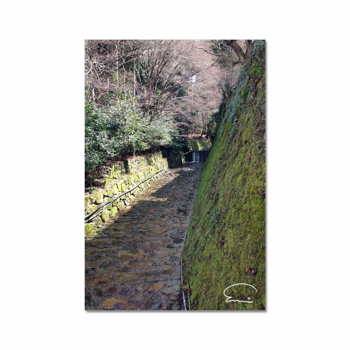 Streams in Kyoto (Ohara)