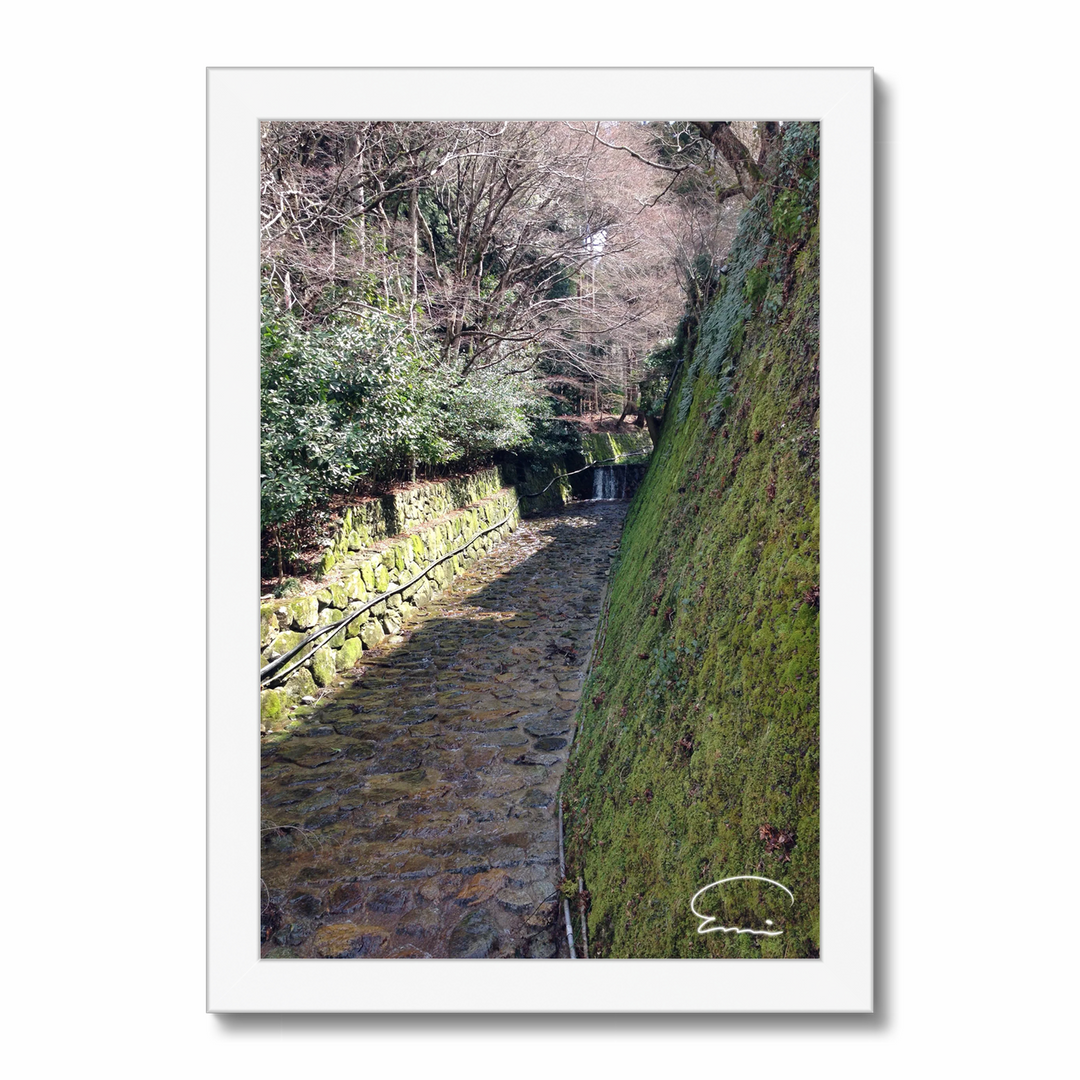 Streams in Kyoto (Ohara)