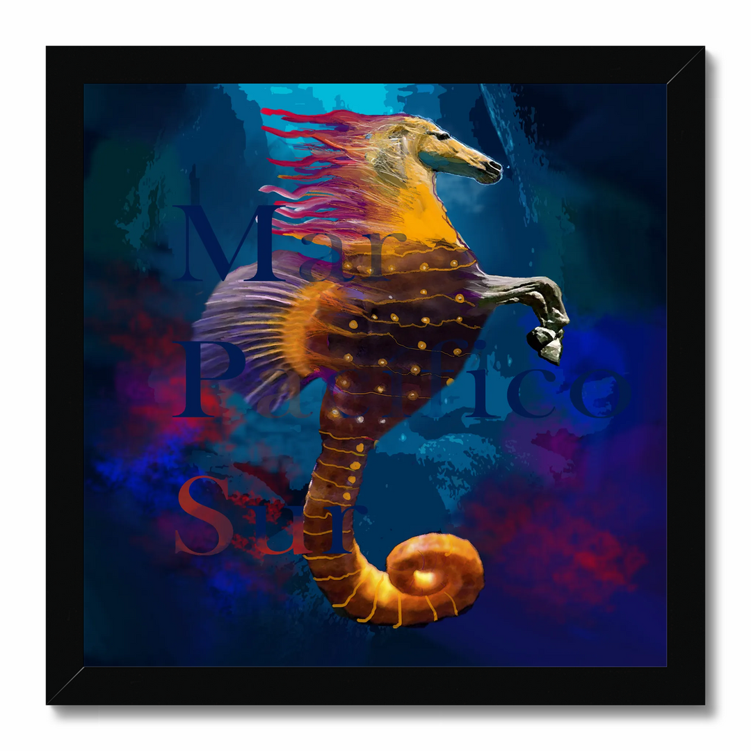 Seahorse 7