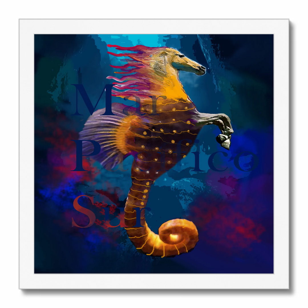 Seahorse 7