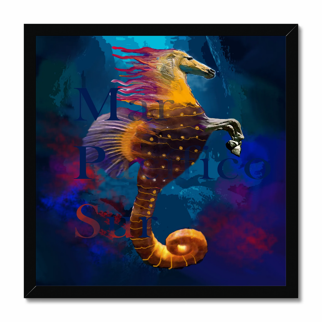 Seahorse 7