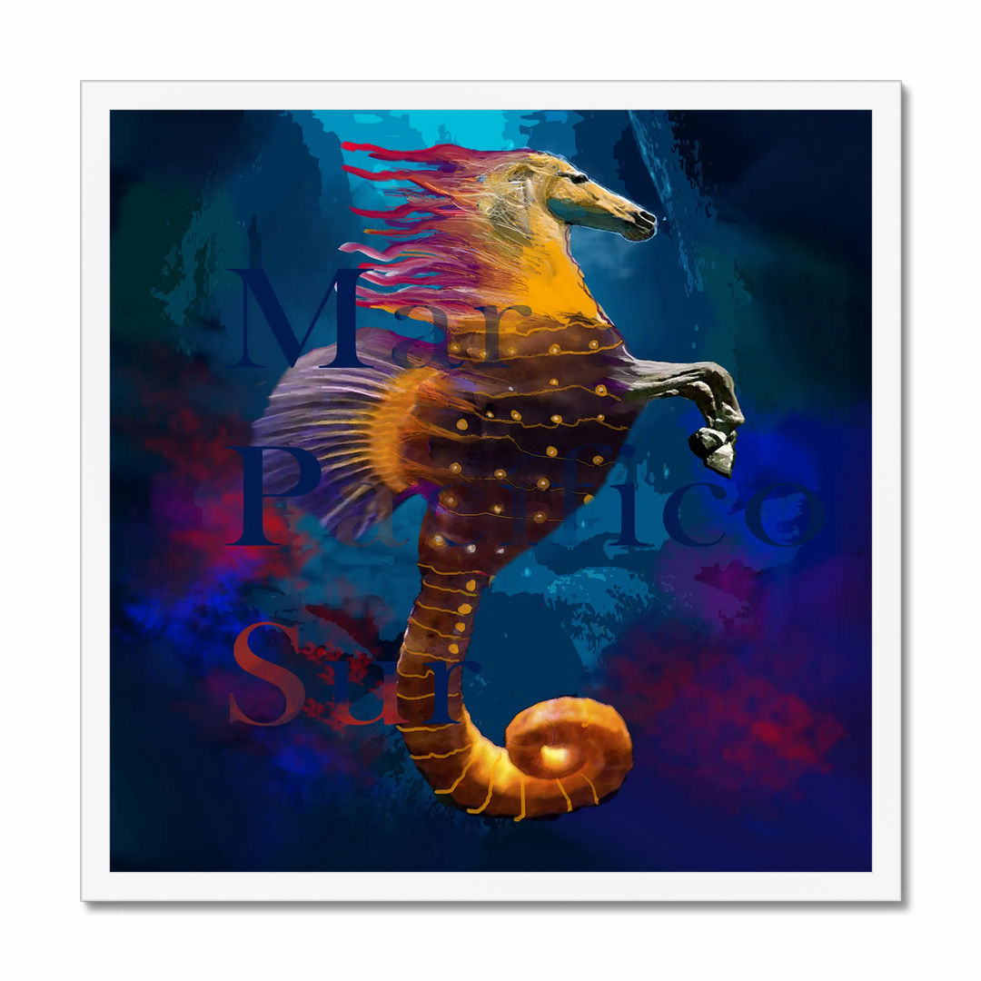 Seahorse 7