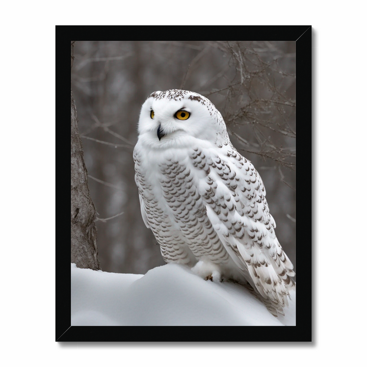 Snowy owl