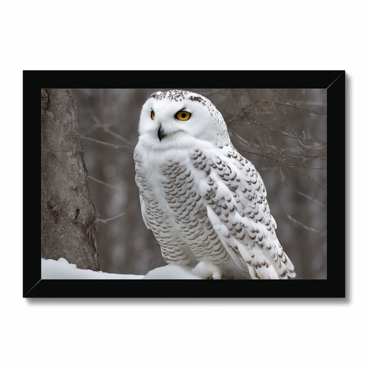 Snowy owl