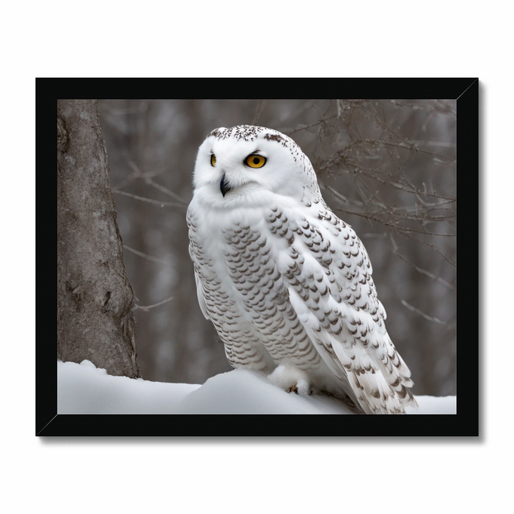 Snowy owl