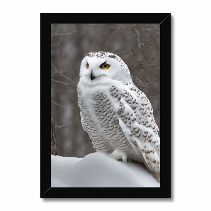 Snowy owl