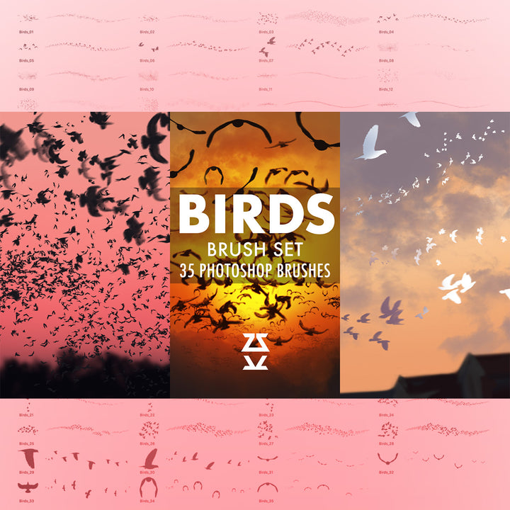 Birds Brush Set