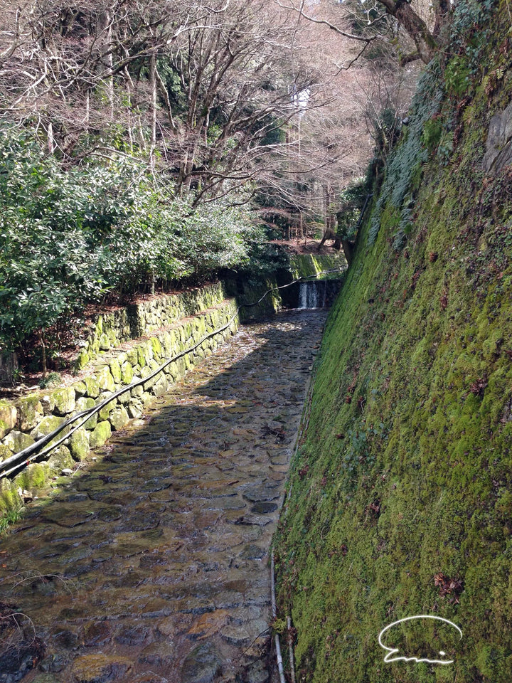 Streams in Kyoto (Ohara)