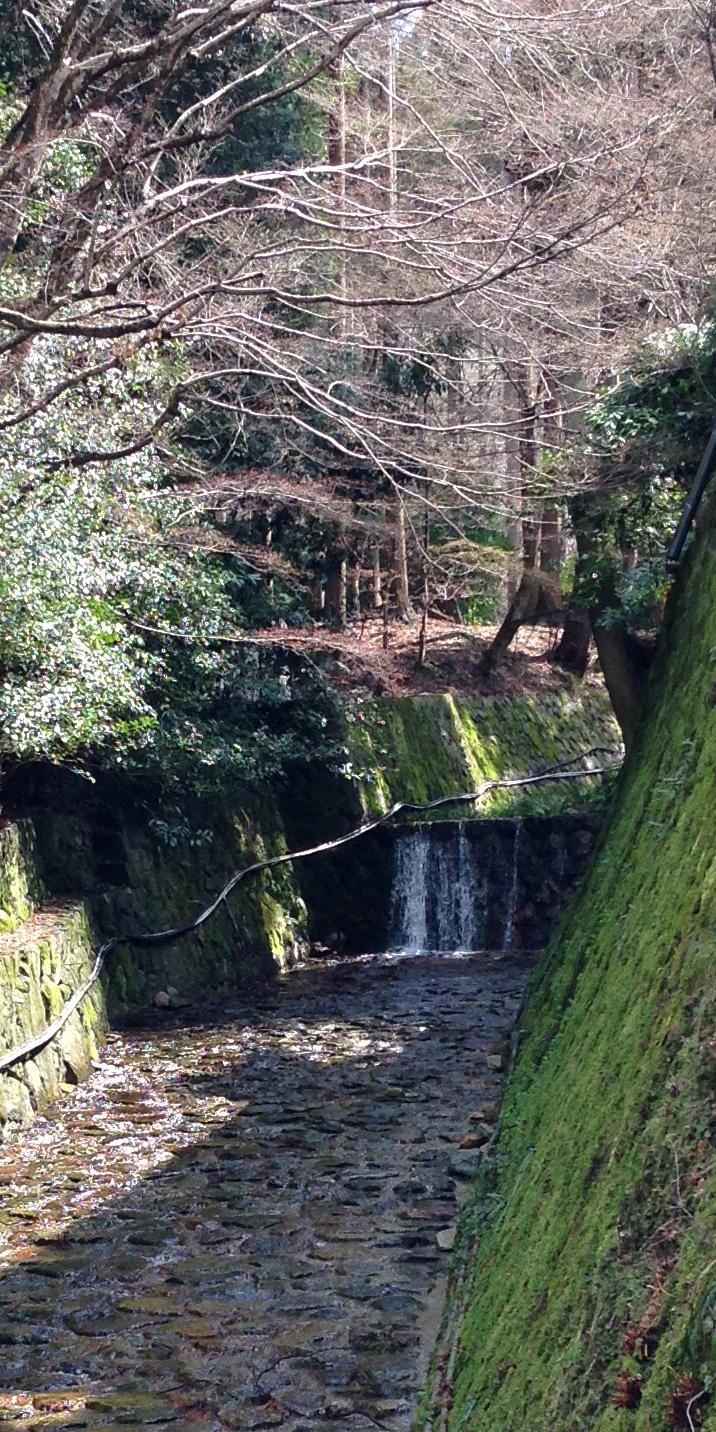 Streams in Kyoto (Ohara)