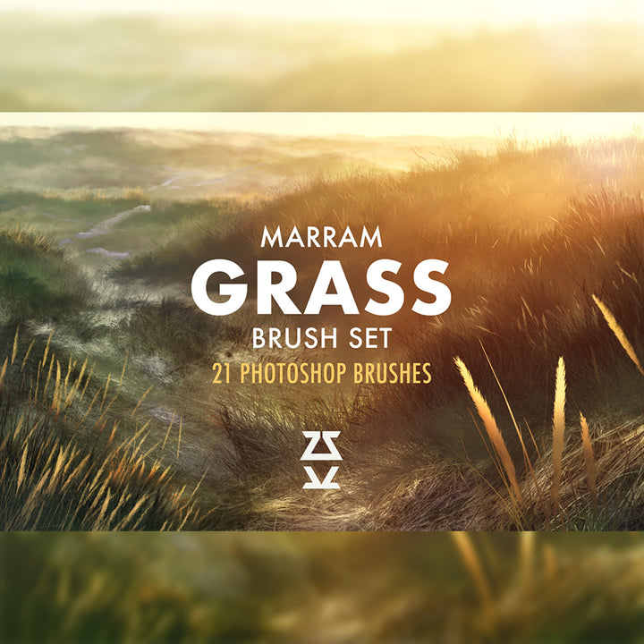 Marram Grass Brush Set