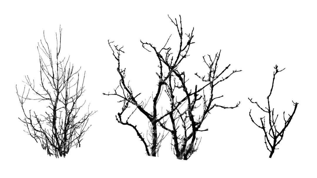 Foliage 2 Brush Set