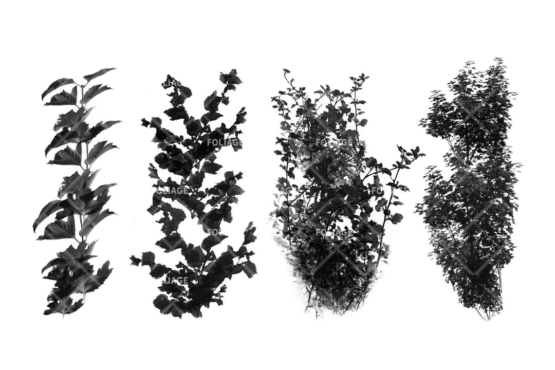 Foliage Brush Set