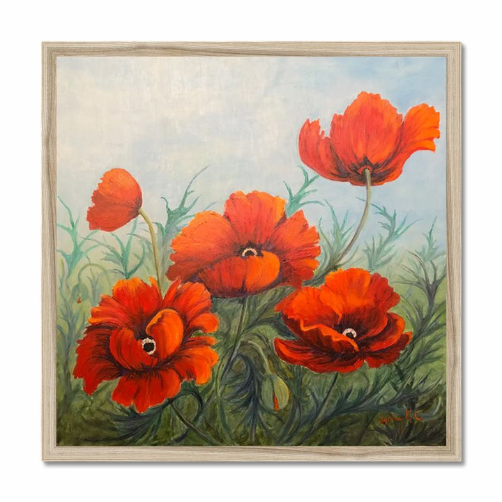 Poppies  ,Lynda Cockshott 40_ square