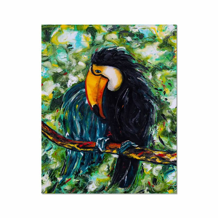 Toucan