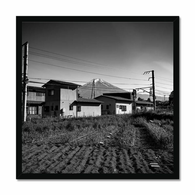 A garden and Mt Fuji